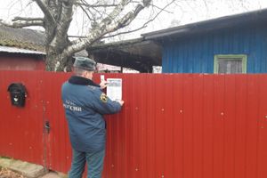 Сотрудники ОДН провели профилактический рейд в Великолукском районе (ФОТО)