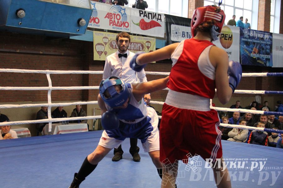 16-й Международный турнир по боксу (фото)