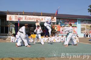 В Великих Луках отметили День физкультурника