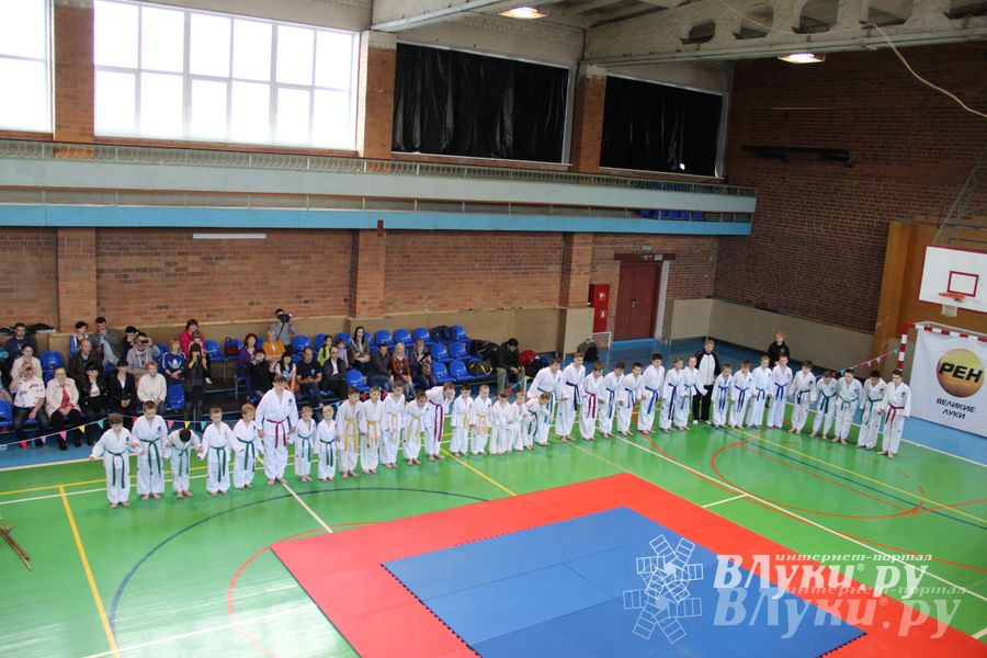 В Великих Луках прошло Первенство по тхэквондо (фото)