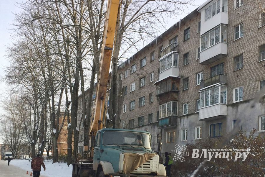 На Нелидовском проезде «омолаживают» тополя (ФОТО)