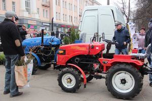 В Великих Луках прошла универсальная ярмарка «Весна-2019» (ФОТО)