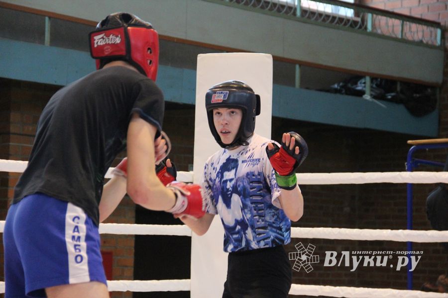 В Великих Луках прошел международный открытый Кубок по смешанному боевому единоборству (ФОТО) (16+)