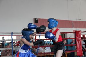 В Великих Луках прошло Первенство города по боксу (ФОТО)