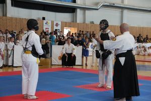 1-й Фестиваль боевых искусств состоялся в Великих Луках  (ФОТО)