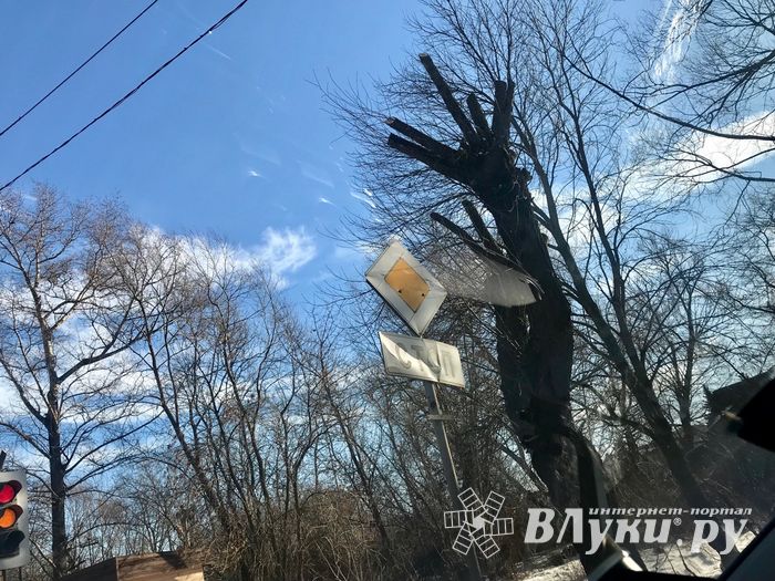 В Великих Луках удаляют угрожающие гражданам ветви (ФОТО)