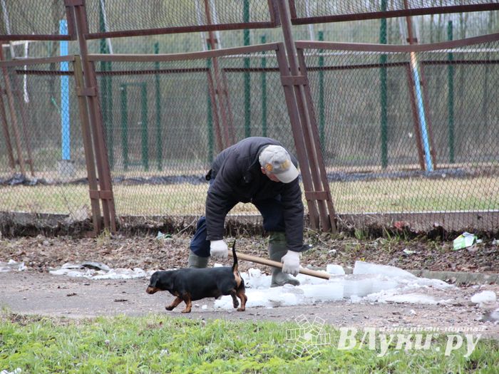 На острове Дятлинка проходит субботник