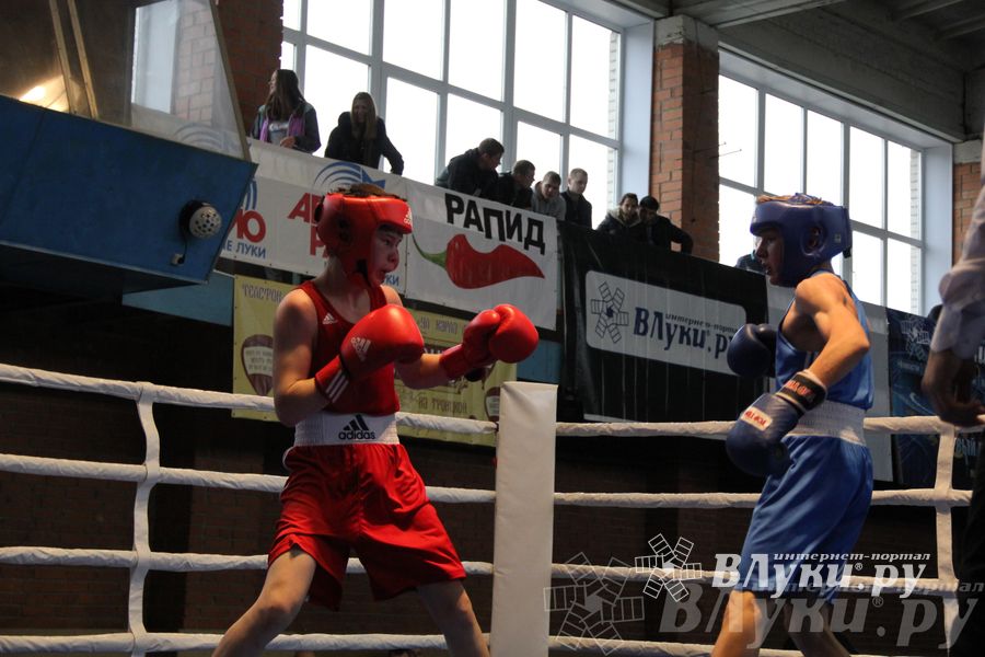 16-й Международный турнир по боксу (фото)