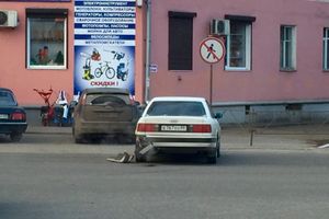 В Великих Луках произошла авария