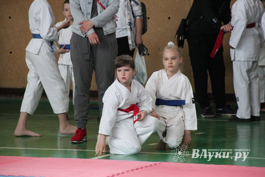 Открытый Кубок города Великие Луки по каратэ WKF (ФОТО)