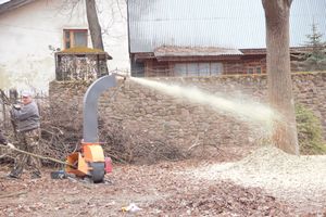 В городском парке орудует дробилка (ФОТО)