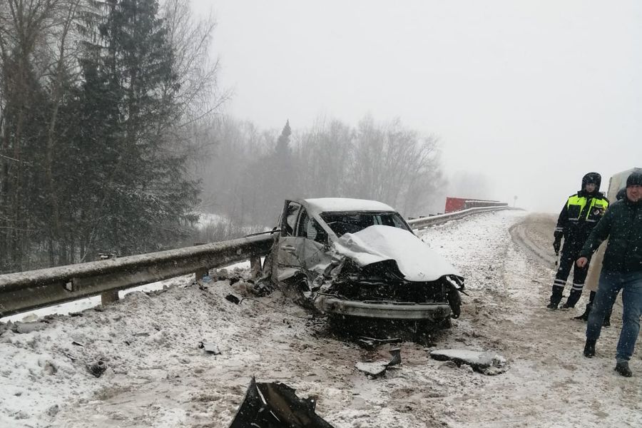 На М-9 лоб в лоб столкнулись тягач и легковушка (ФОТО)