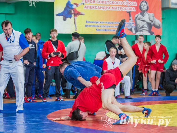 Фото: Александр Воробьев Великолучане завоевали награды Всероссийских соревнований по самбо