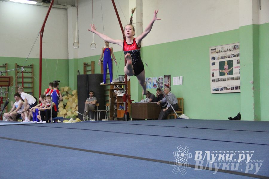 В Великих Луках прошел турнир по спортивной гимнастике (фото)