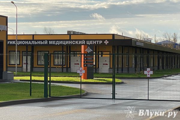 Пульмонологи из ПОКБ проведут приём в Великих Луках
