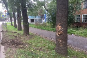 ДТП на пр-те Гагарина в Великих Луках (ФОТО)