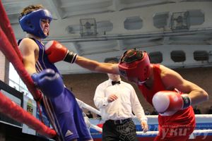 16-й Международный турнир по боксу (фото)