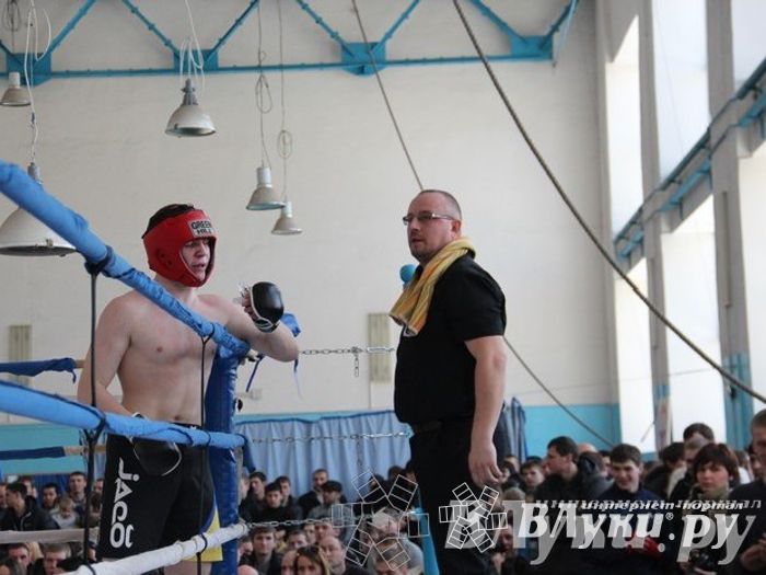 Чемпионат Псковской области по ММА