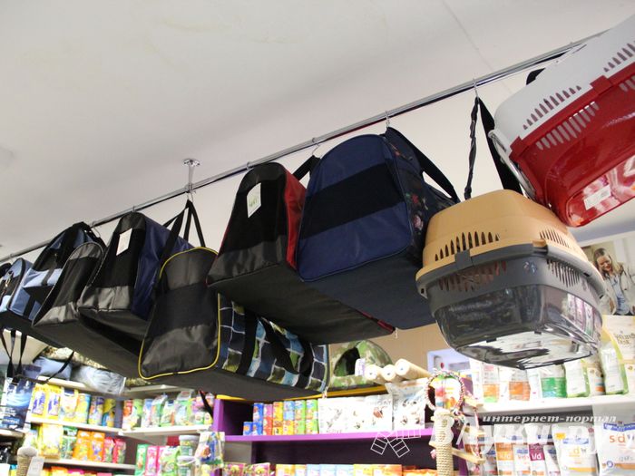 «Zooбастики»: подарите праздник своим любимцам! (ФОТО+ВИДЕО)