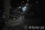 В Великих Луках водитель БМВ врезался в дерево (ФОТО)