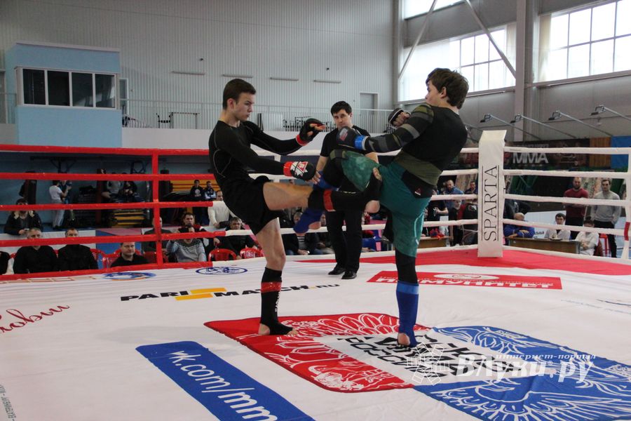 Открытый кубок по смешанному боевому единоборству ММА прошел в Великих Луках (ФОТО)