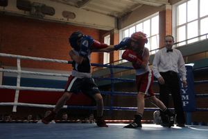 В Великих Луках прошел турнир по боксу памяти Е. Клевцова (ФОТО)