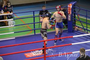 В Великих Луках прошел межрегиональный Открытый Кубок по смешанному боевому единоборству (фото)