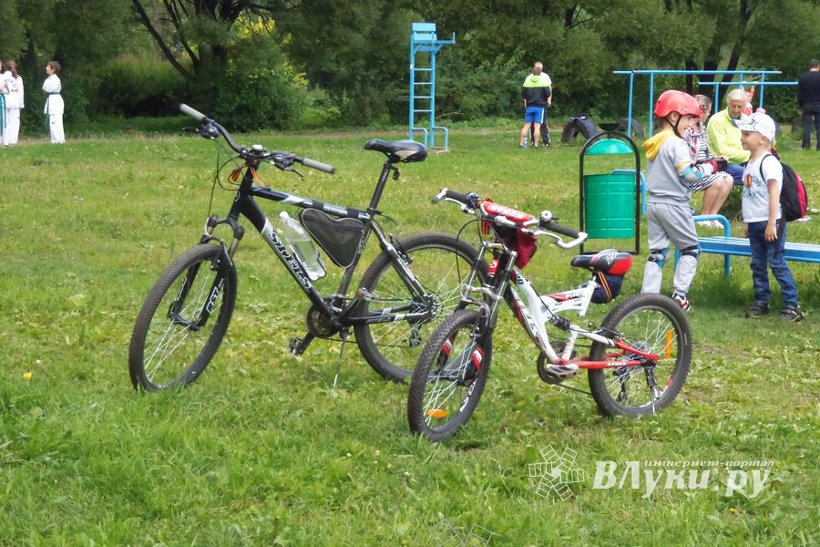 «Олимпийский день» в Великих Луках