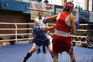 16-й Международный турнир по боксу (фото)