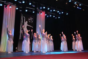 В Великих Луках прошел Фестиваль танца (ФОТО)