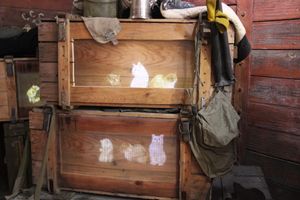 Великолучане знакомятся с «Поездом Победы» (ФОТО)