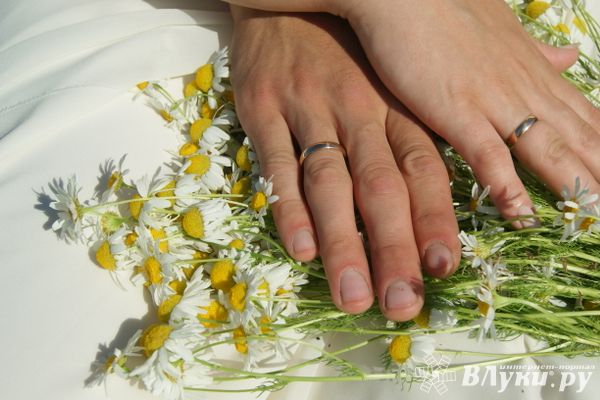 Количество браков в Псковской области увеличилось