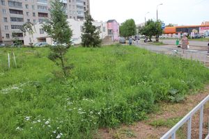 Новый арт-объект появился в Великих Луках (ФОТО)