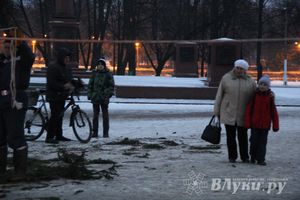 В Великих Луках установили новогоднюю елку (фото)
