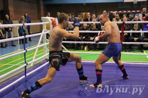 В Великих Луках прошел межрегиональный Открытый Кубок по смешанному боевому единоборству (фото)