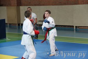 Турнир по каратэ «Неприкосновенный запас — дети Отчизны»
