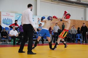 Фестиваль боевых искусств прошел в Великих Луках (ФОТО)