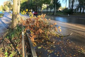 В Великих Луках стихия наломала немало (ФОТО)