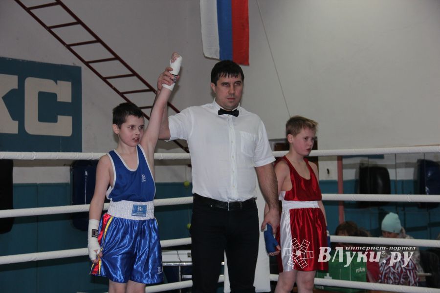 Открытое первенство по боксу прошло в Великих Луках (ФОТО)