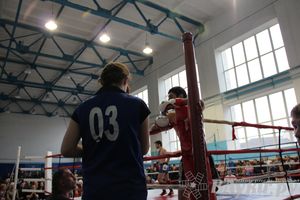 Открытый Кубок города Великие Луки по смешанному боевому единоборству (ММА)