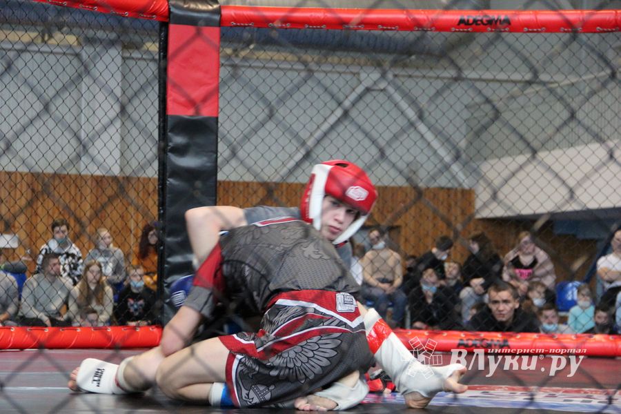 В Великих Луках прошел кубок по смешанному боевому единоборству (ФОТО)