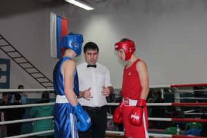 Открытое первенство по боксу прошло в Великих Луках (ФОТО)