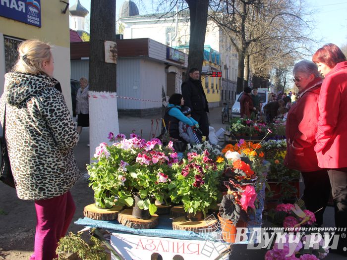 Традиционная весенняя ярмарка прошла в Великих Луках