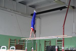 В Великих Луках прошел турнир по спортивной гимнастике (фото)