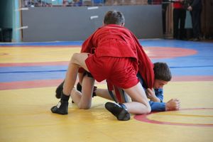 Лично-командное Первенство Псковской области по самбо