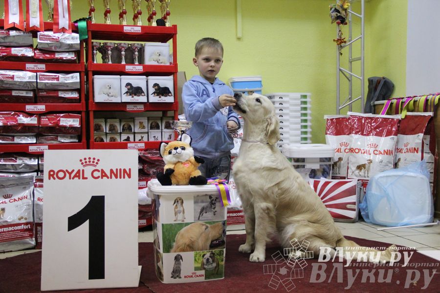 Всероссийская выставка собак «Великие Луки — 2014»