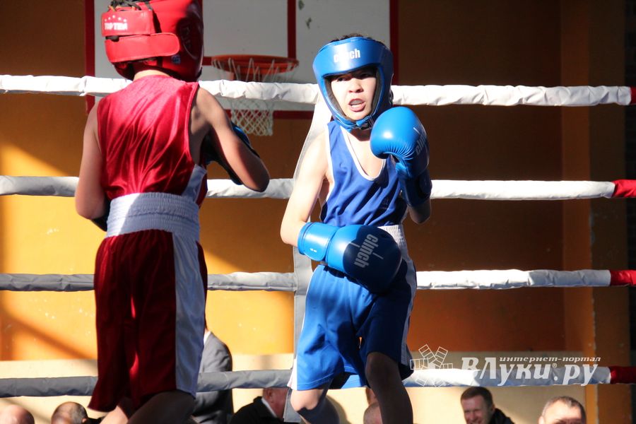 Второй день турнира по боксу складывается для великолучан удачно (ФОТО)