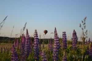 Фото с сайта flymonitor.ru