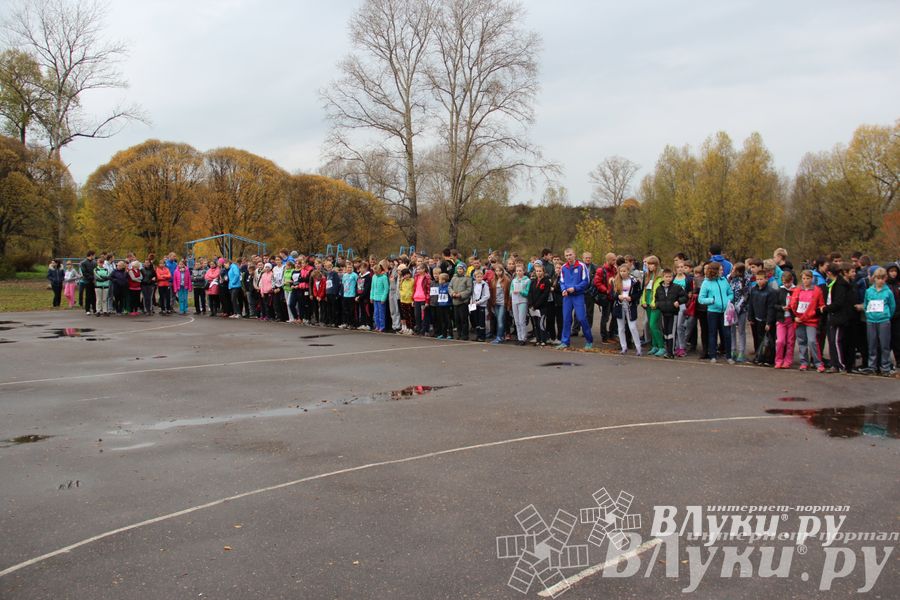 Легкоатлетический осенний кросс прошел в Великих Луках (фото)