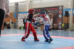 В Великих Луках проходит Кубок по кикбоксингу (ФОТО) (0+)